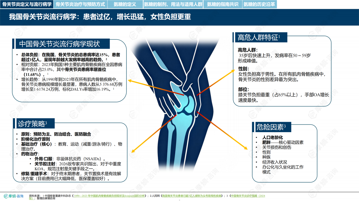 2026氨基葡萄糖制剂市场深度研究报告-摩熵咨询.pdf_第5页