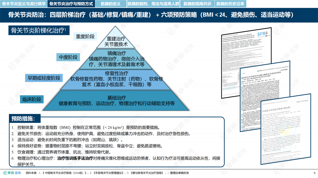 2026氨基葡萄糖制剂市场深度研究报告-摩熵咨询.pdf_第6页