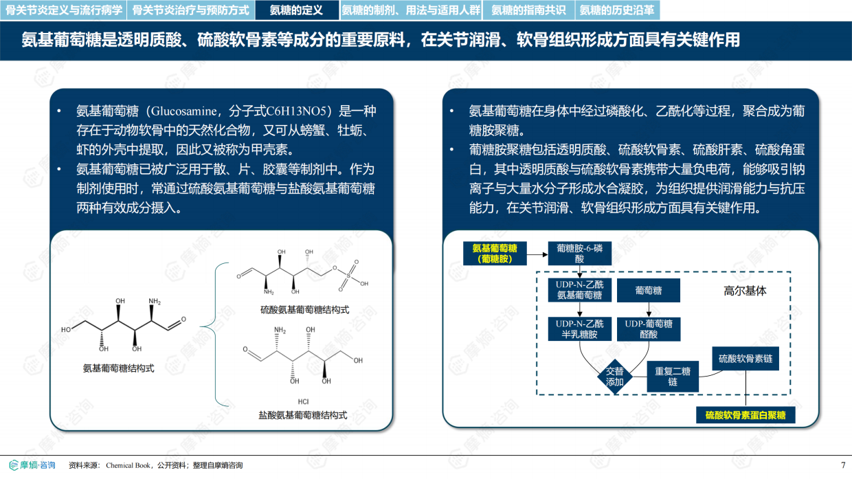 2026氨基葡萄糖制剂市场深度研究报告-摩熵咨询.pdf_第7页