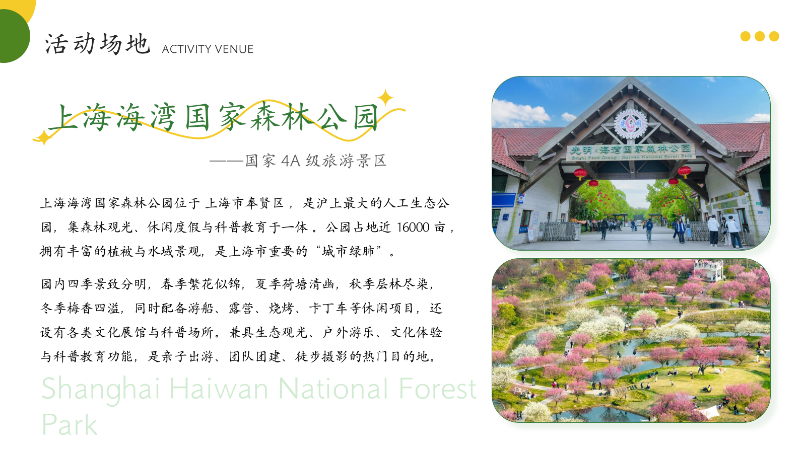2026海湾森林公园夏季皮划艇团建活动策划方案.pptx_第7页
