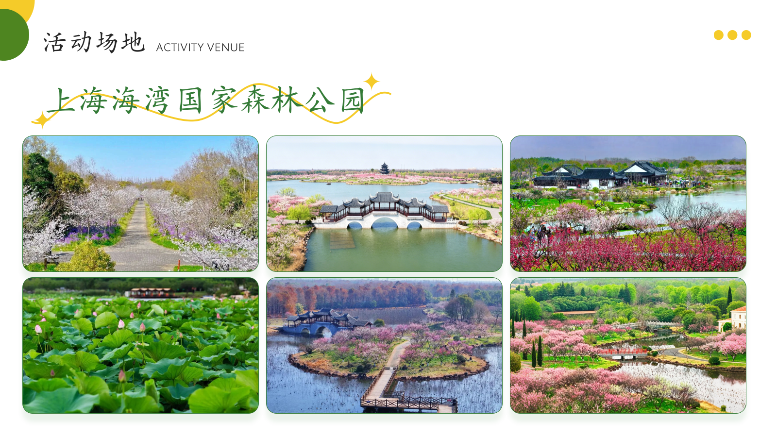 2026海湾森林公园夏季皮划艇团建活动策划方案.pptx_第9页