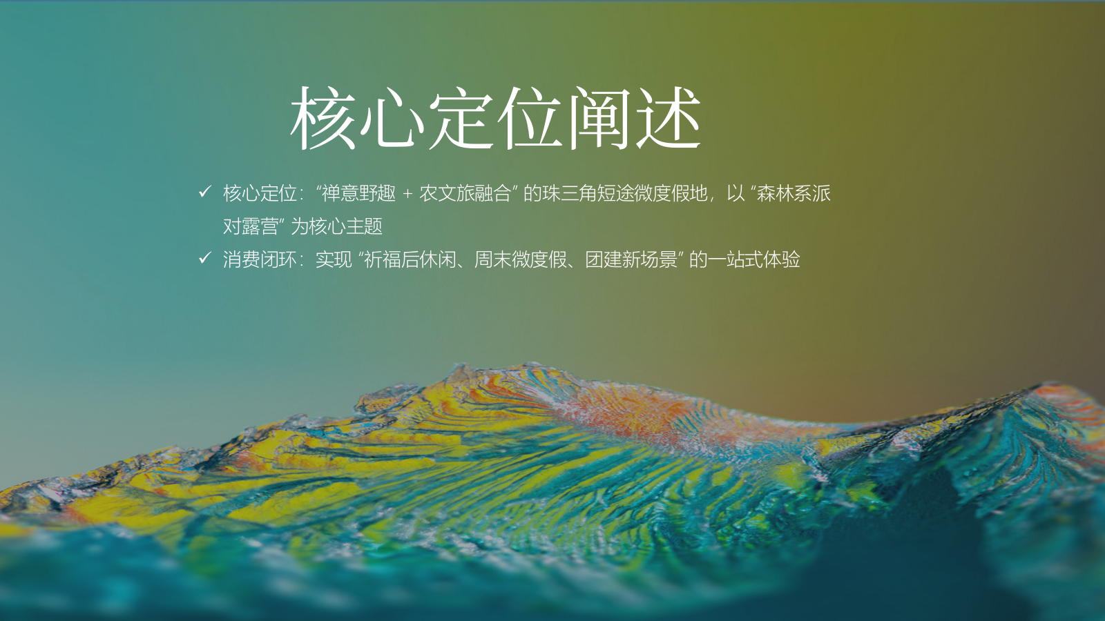 寺庙旁森林系派对露营农文旅微度假基地商业计划书.pptx_第6页