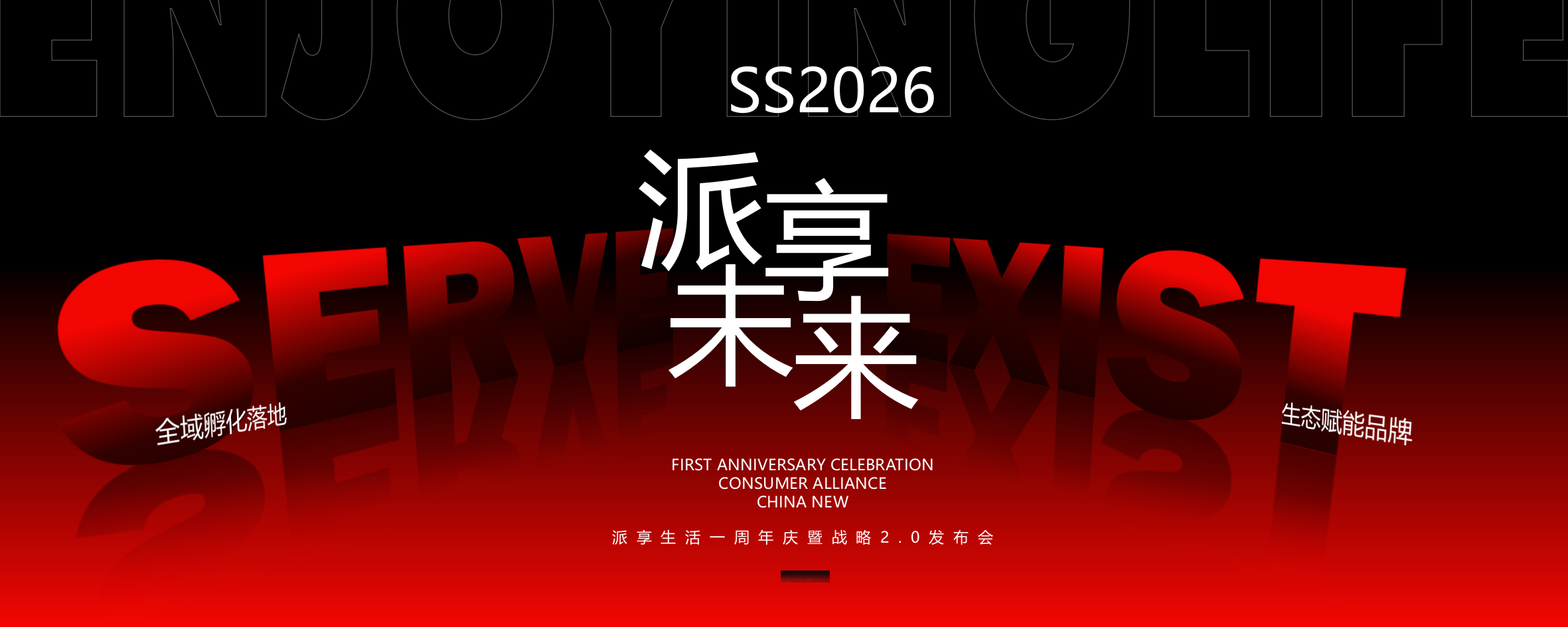 2026集团消费金融1周年庆暨新战略发布会活动方案.pptx