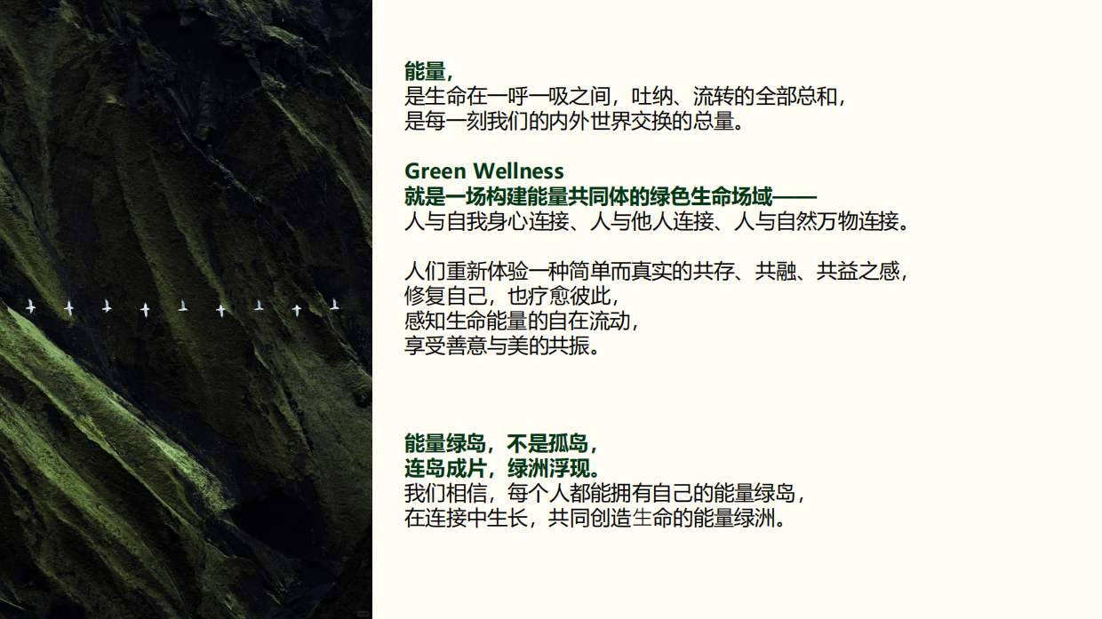 2026时尚芭莎《能量生活节》招商方案.pdf_第4页