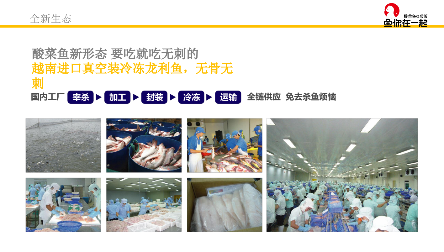 鱼你在一起品牌介绍.pptx_第9页