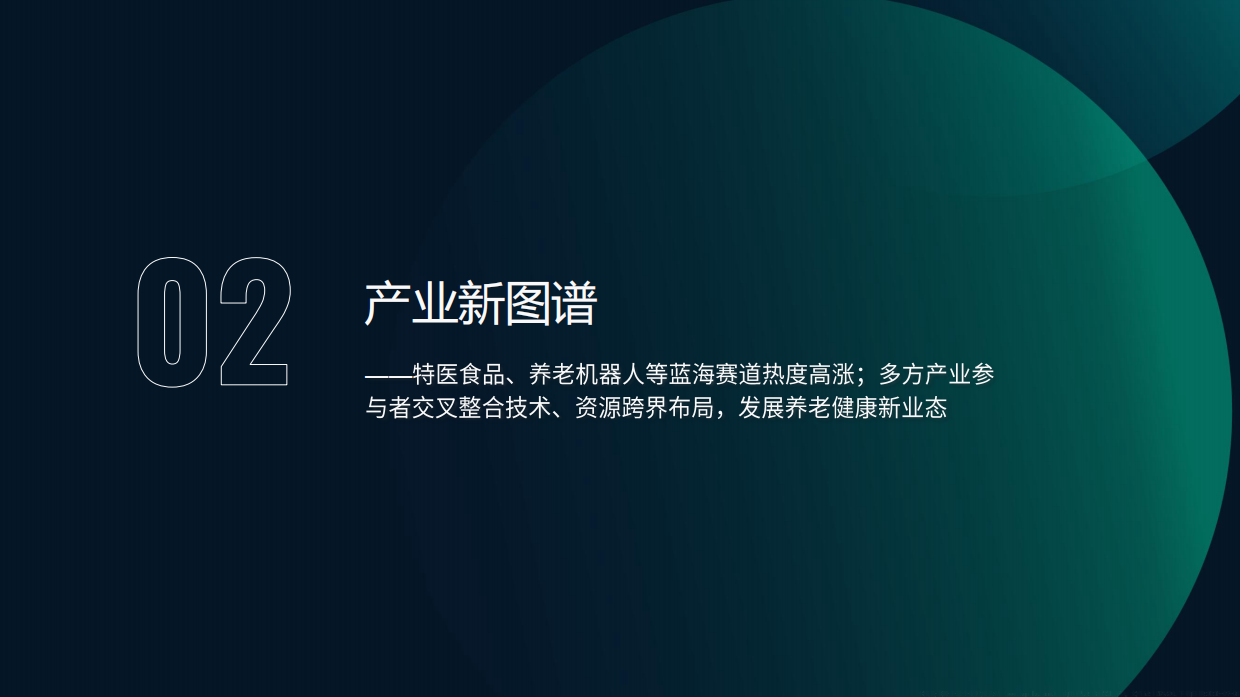2026中国养老健康产品发展洞察报告-月狐数据.pdf_第10页