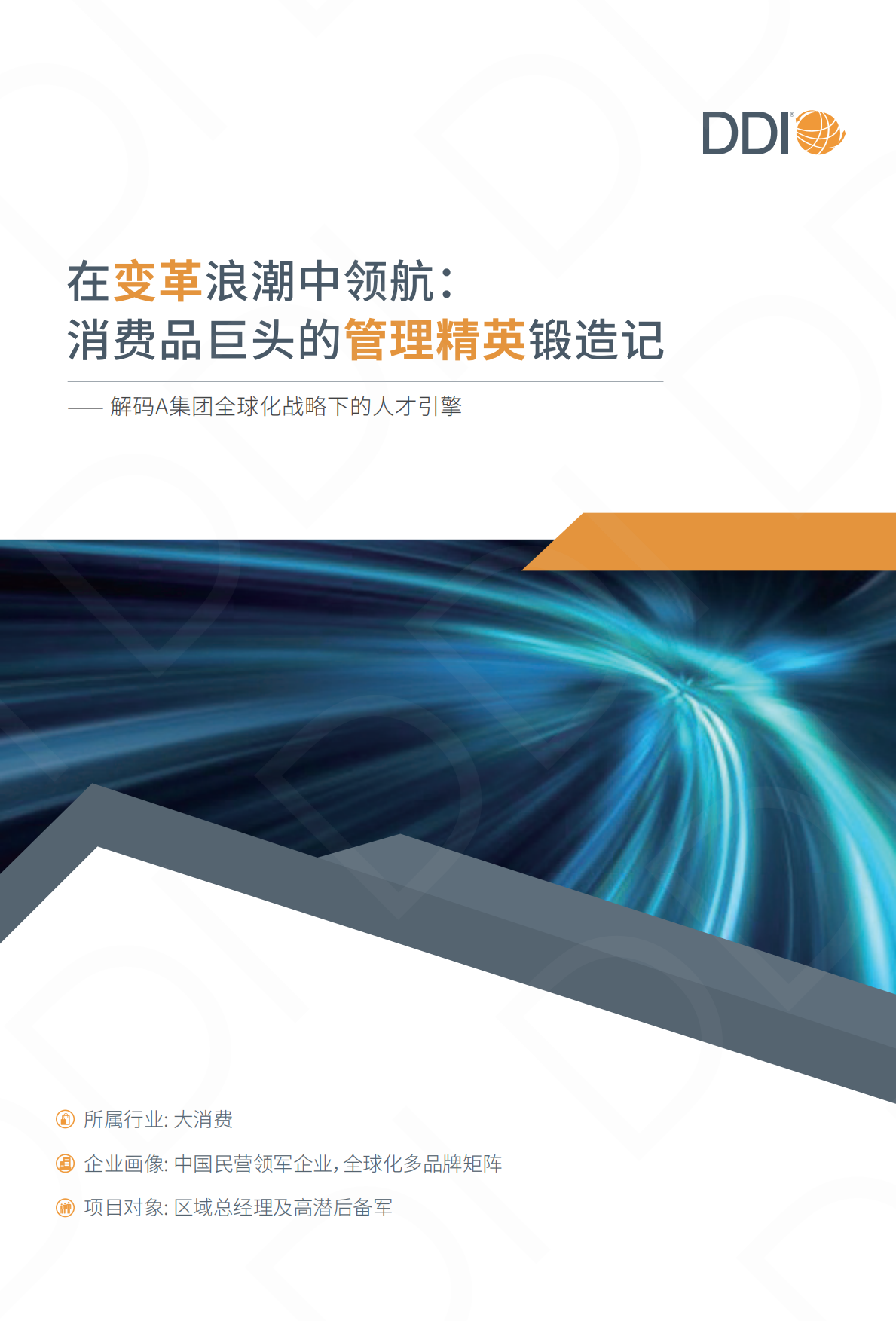 2025大消费行业人才发展成功实践手册-DDI.pdf_第3页