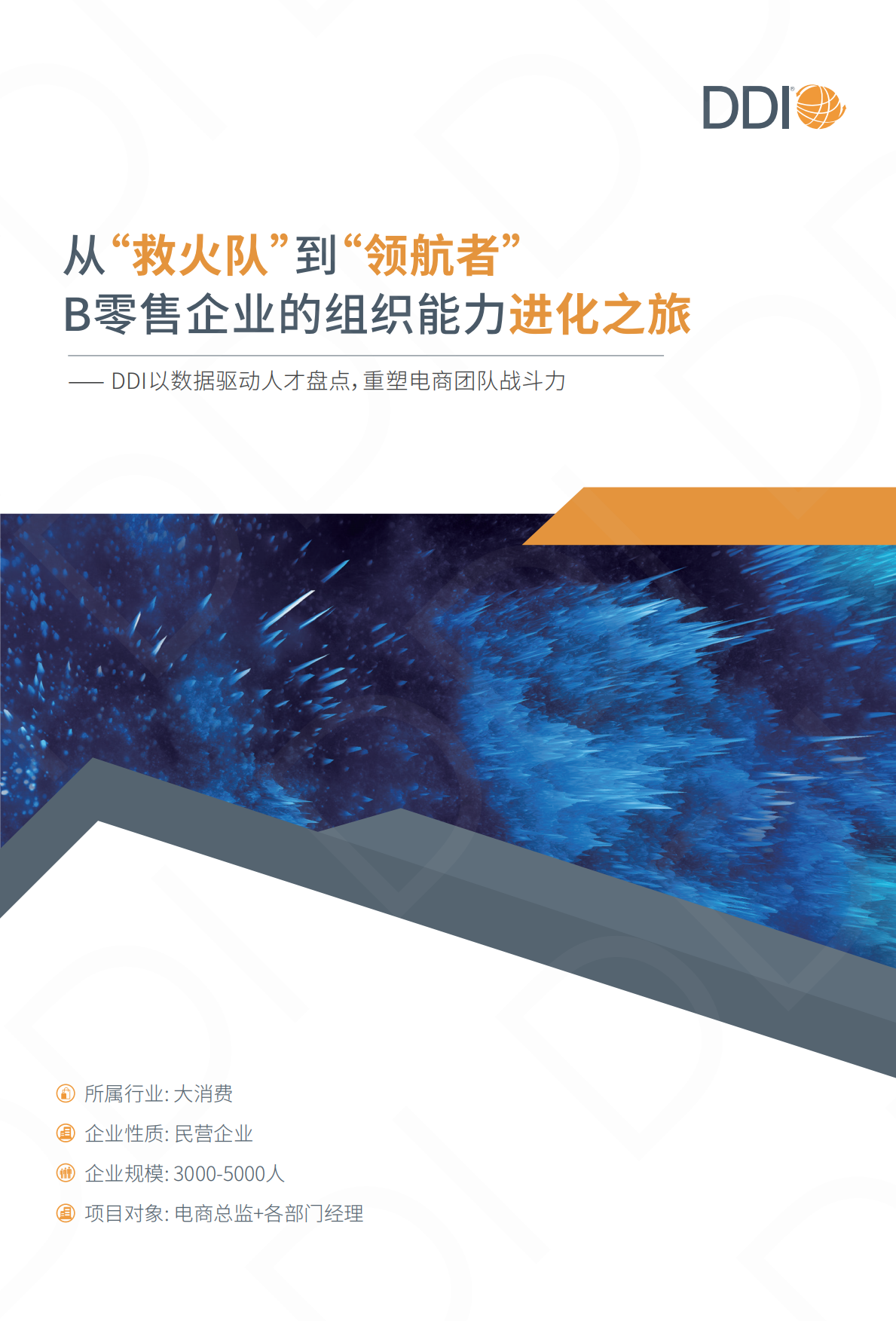 2025大消费行业人才发展成功实践手册-DDI.pdf_第6页