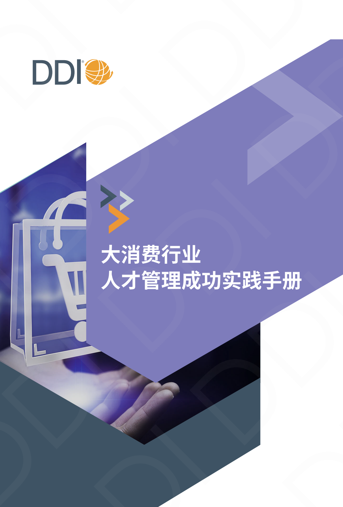 2025大消费行业人才发展成功实践手册-DDI.pdf