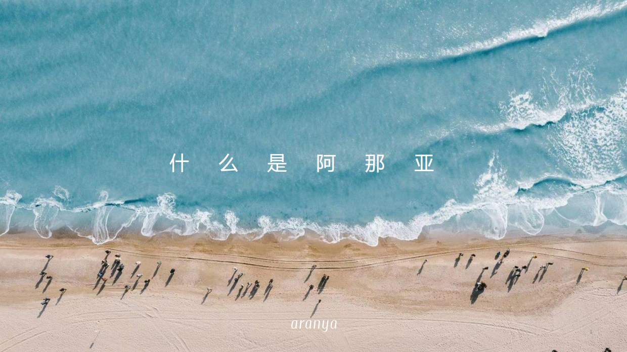 2025阿那亚项目品牌介绍.pdf