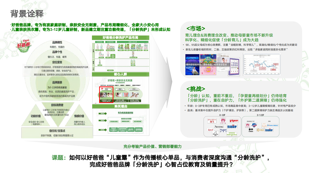 家庭洗护品牌儿童洗护营销方案.pdf_第2页