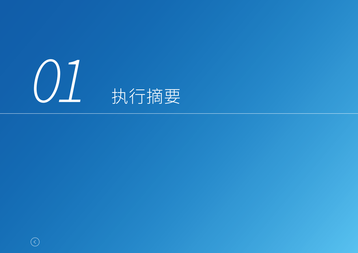 全球碳市场进展：2026年度报告（中文版）-ICPA.pdf_第7页