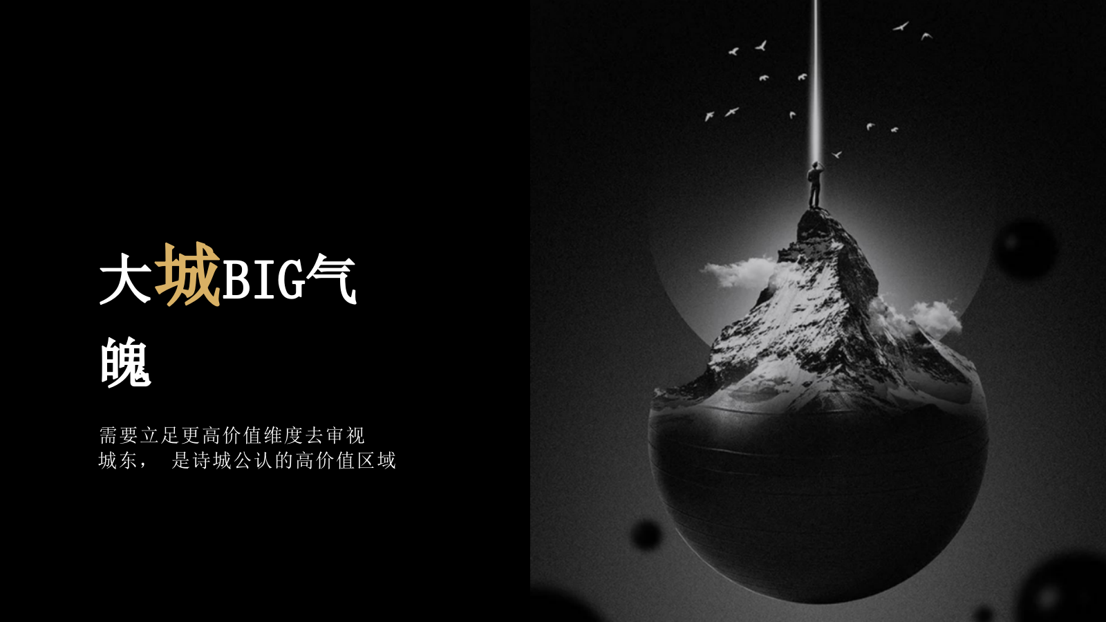 2025中奥地产君柏府产品发布会活动策划方案.pptx_第2页