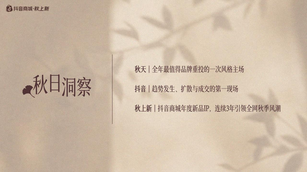 抖音商场2026秋日追新招商方案.pdf_第2页