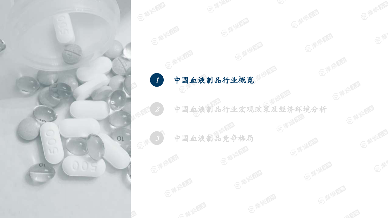 2026中国血液制品行业研究报告-摩熵咨询.pdf_第3页