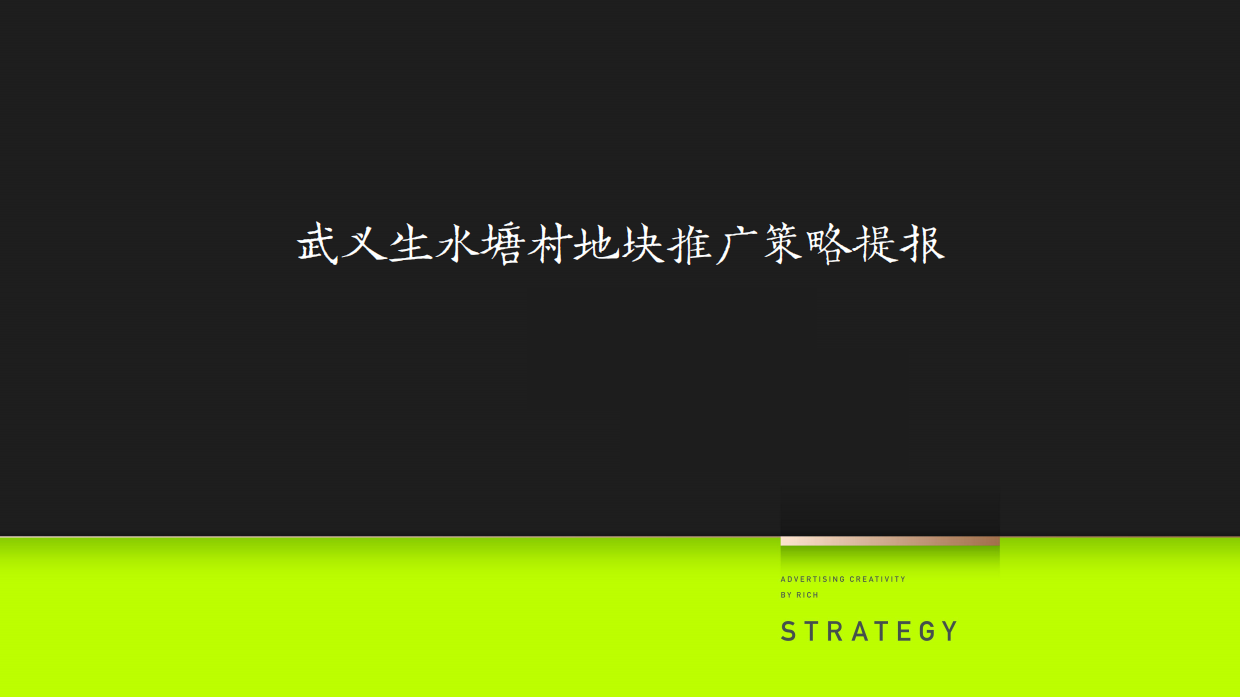 杭州地产项目推广策略竞标方案.pdf_第2页