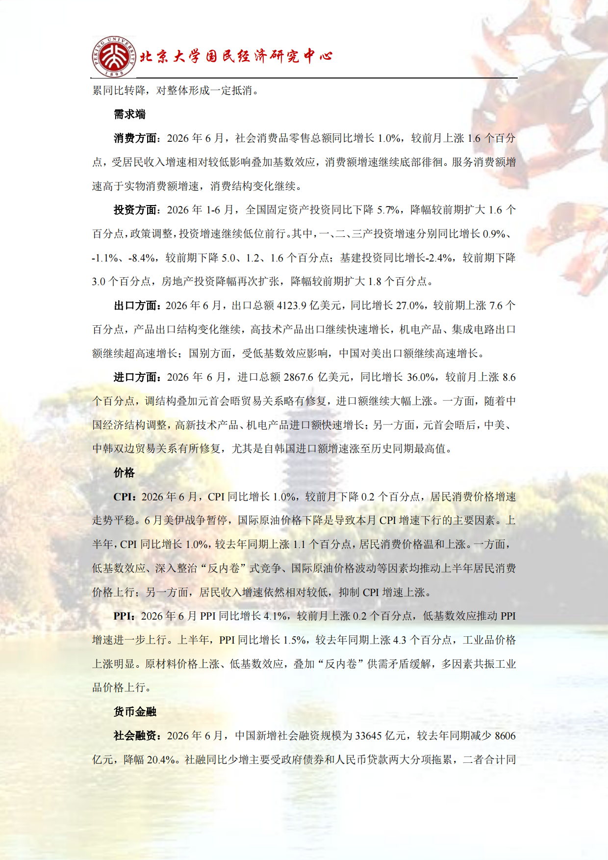 2026结构调整，经济增速阶段性下降-北大国民经济研究中心.pdf_第3页