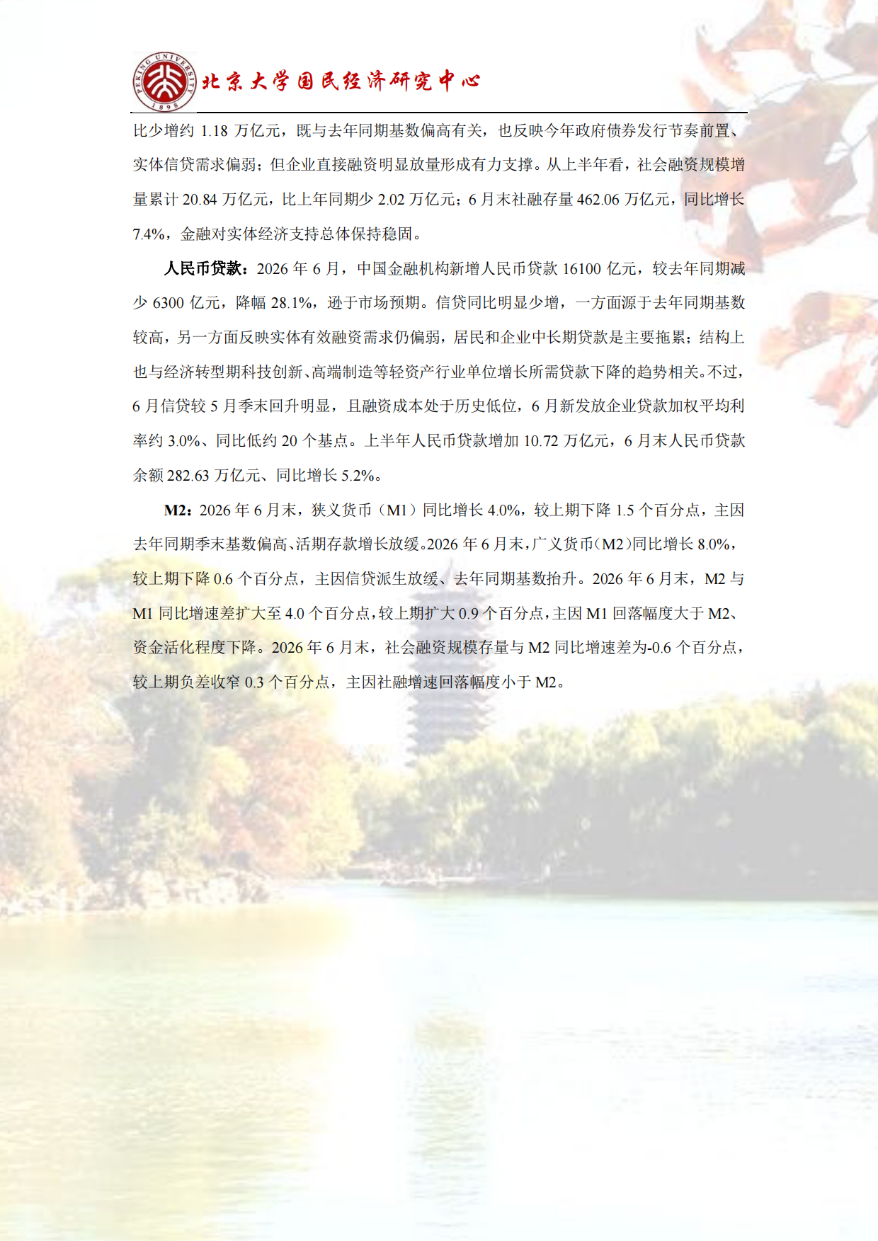 2026结构调整，经济增速阶段性下降-北大国民经济研究中心.pdf_第4页