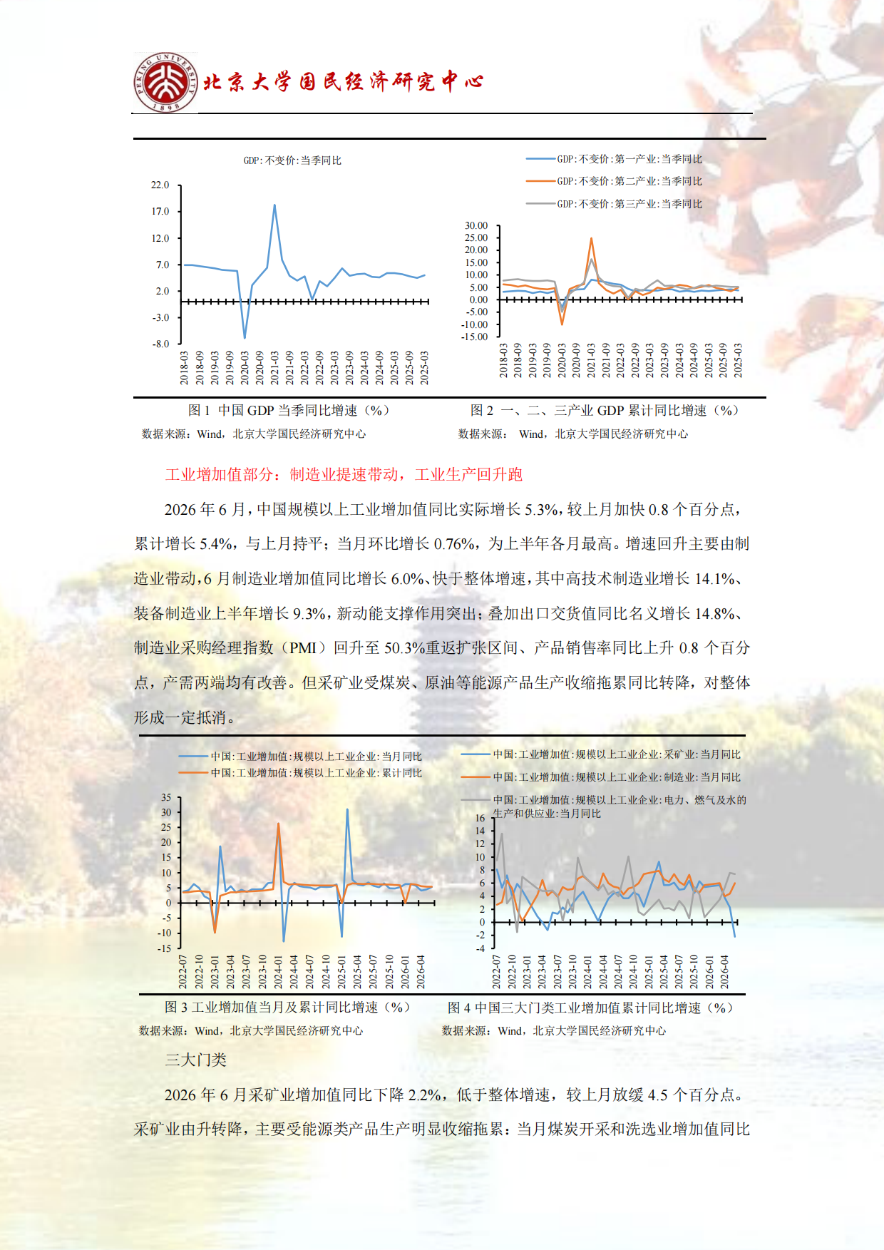 2026结构调整，经济增速阶段性下降-北大国民经济研究中心.pdf_第6页