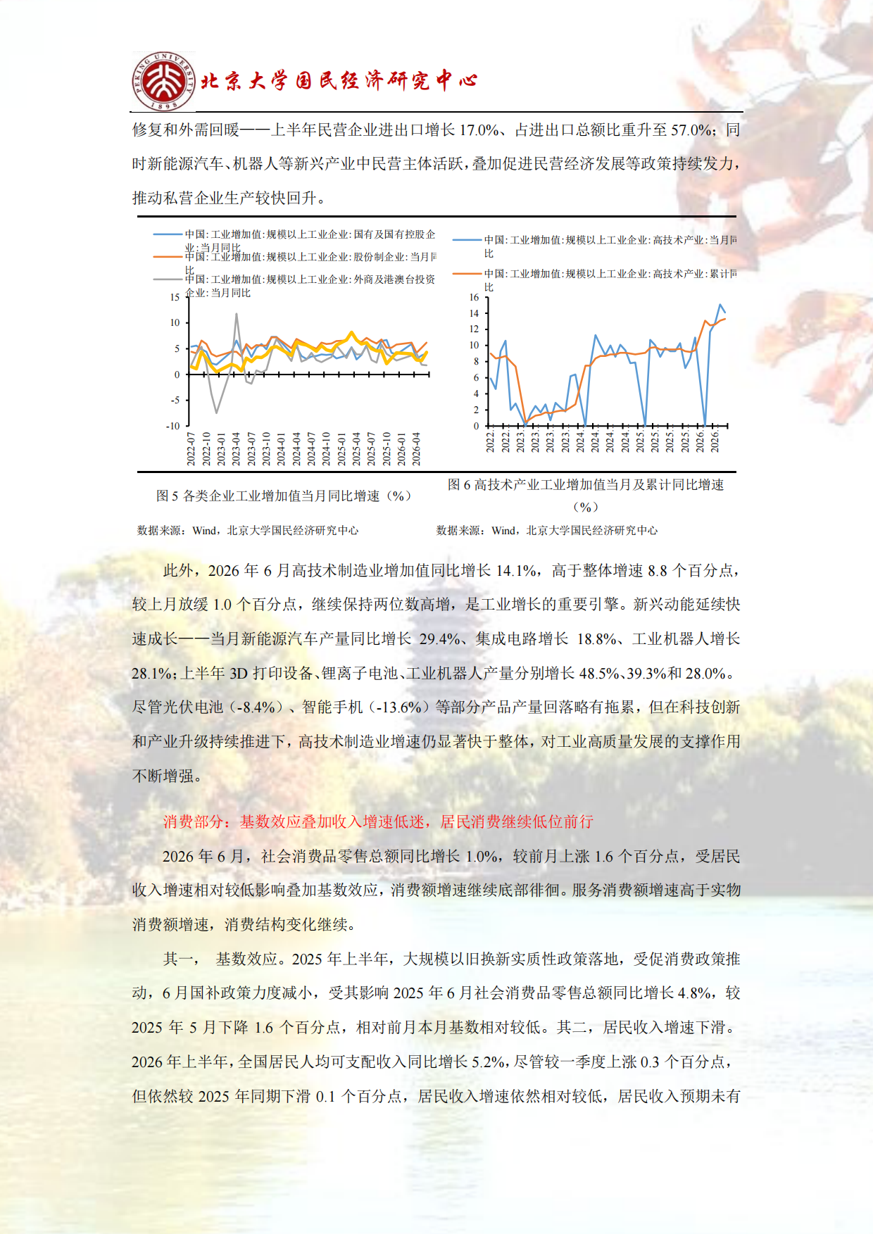 2026结构调整，经济增速阶段性下降-北大国民经济研究中心.pdf_第8页