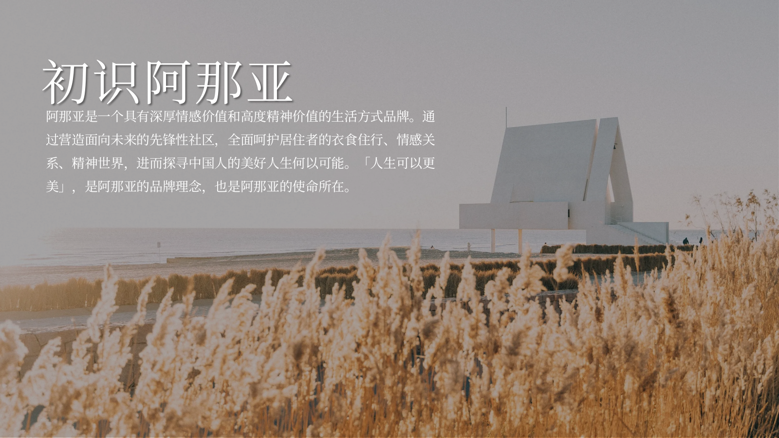 2026阿那亚黄金海岸夏日海边团建网红打卡活动方案.pptx_第9页