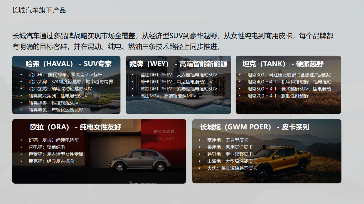 2025长城汽车可行性合作探索简案-12页.pdf_第3页
