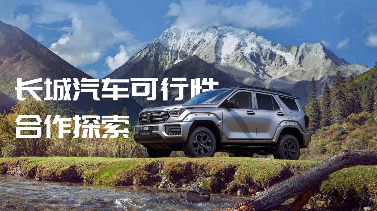 2025长城汽车可行性合作探索简案-12页.pdf