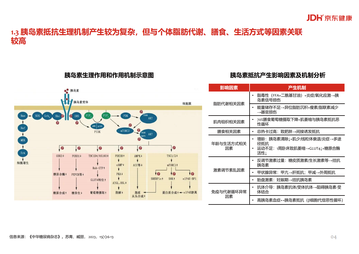 中国胰岛素抵抗综合管理现状与未来白皮书（2025)-京东健康.pdf_第8页
