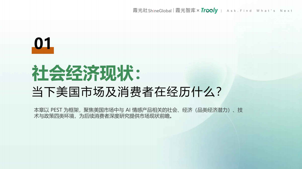 2026美国AI情感产品用户洞察报告-霞光社.pdf_第4页