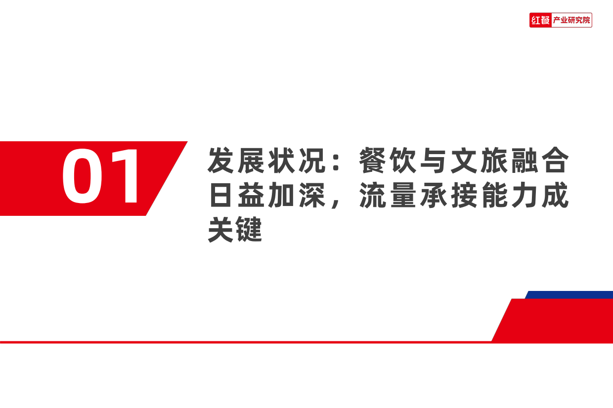 报告预览图P4