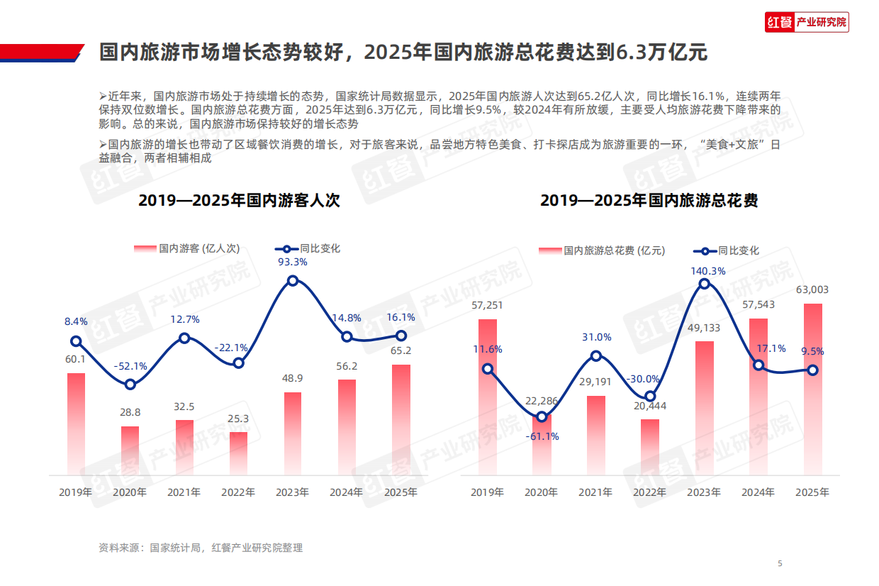 报告预览图P5