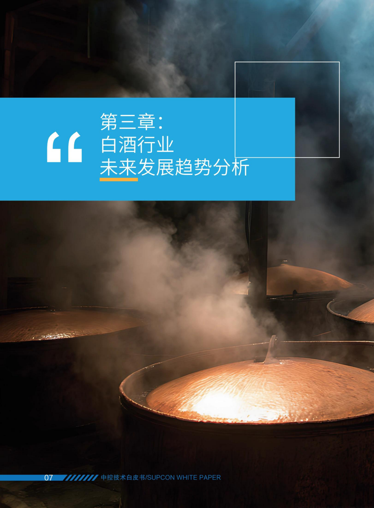 2025白酒行业智能工厂解决方案白皮书-中控技术.pdf_第10页