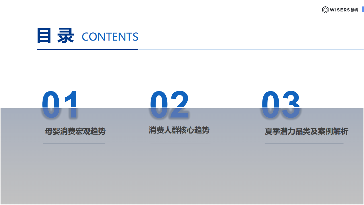2026暑期母婴消费趋势洞察-慧科讯业Wisers.pdf_第2页