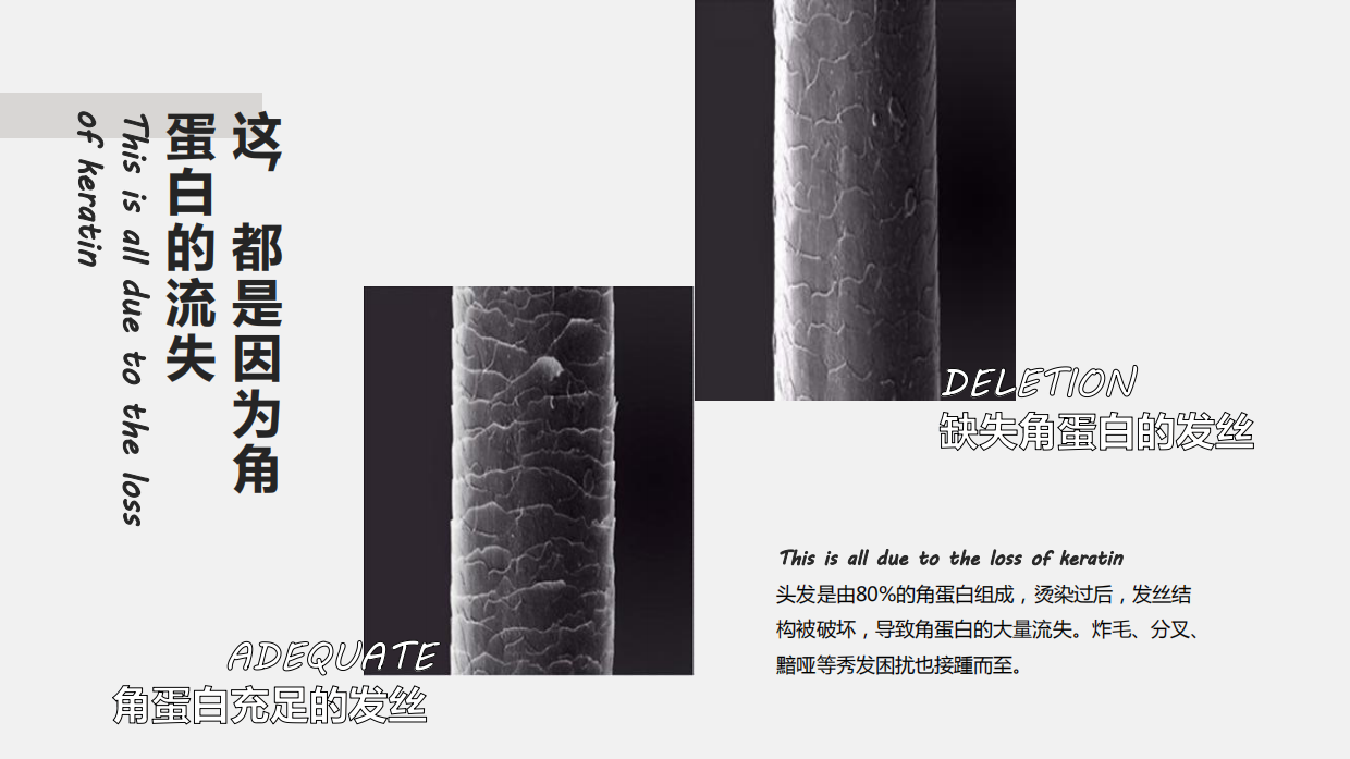 3重蛋白瞬时修护洗发水＋发膜.pdf_第3页