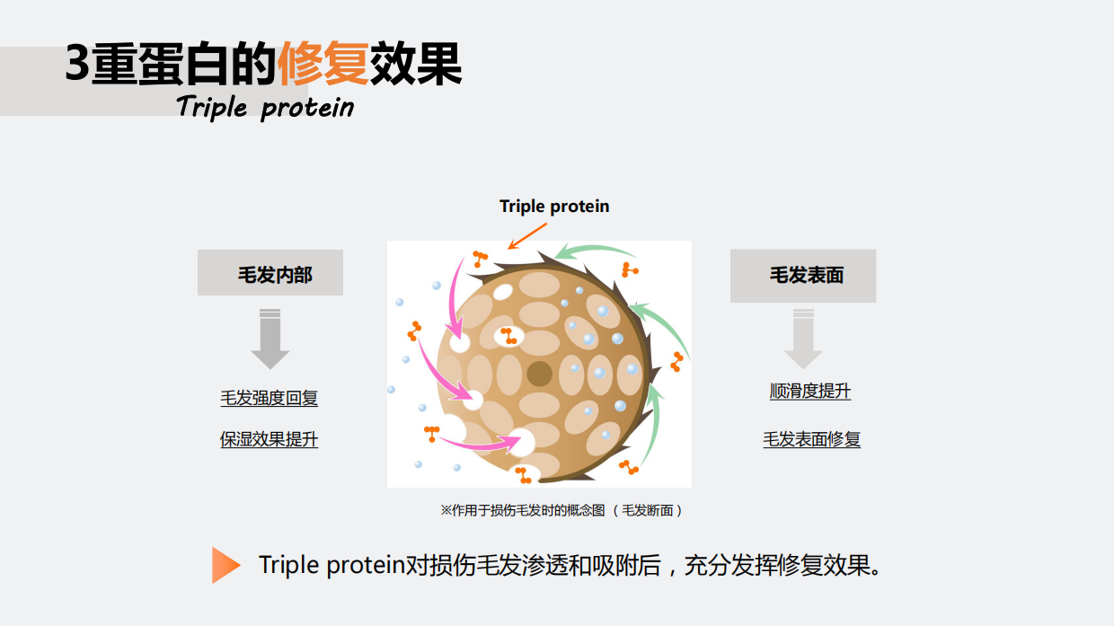 3重蛋白瞬时修护洗发水＋发膜.pdf_第6页