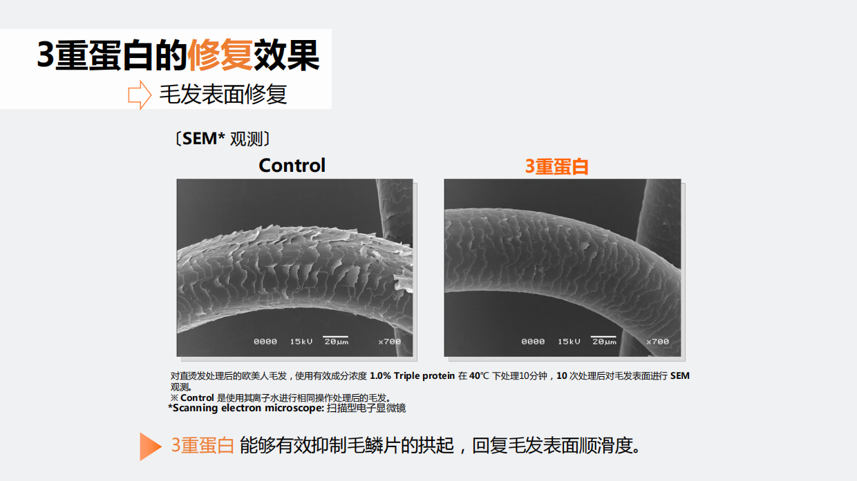 3重蛋白瞬时修护洗发水＋发膜.pdf_第7页