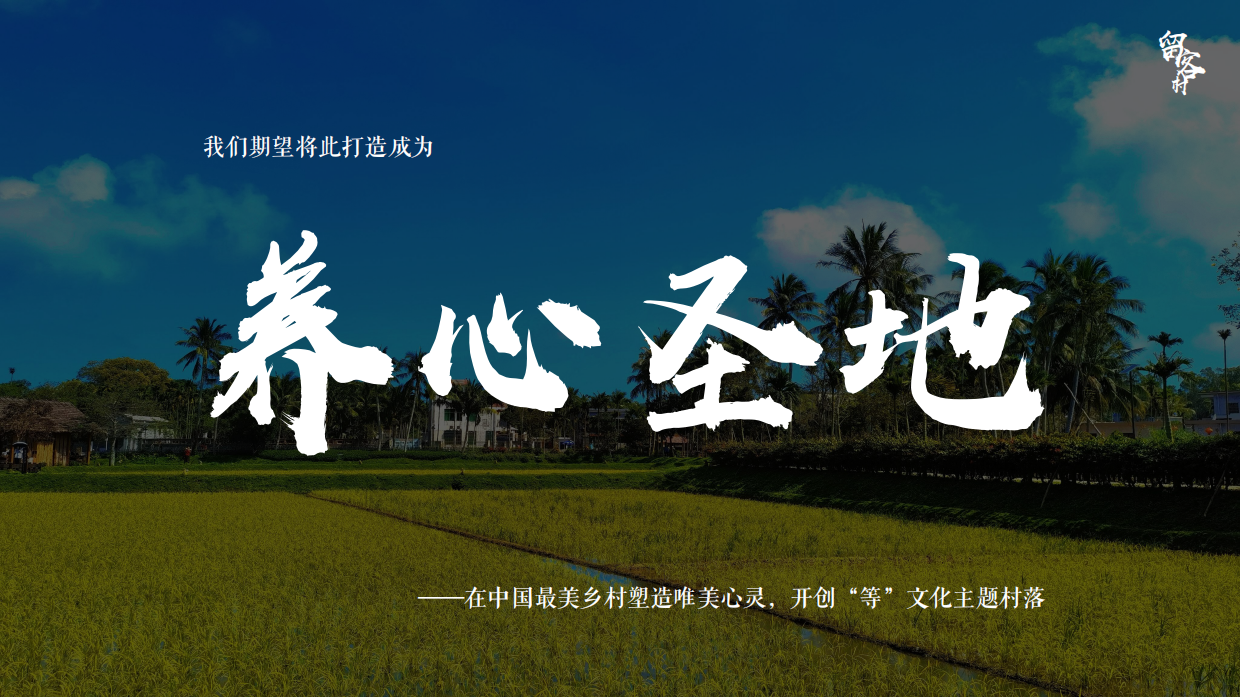 2026博鳌留客村文化古村落文旅项目营销方案.pdf_第9页