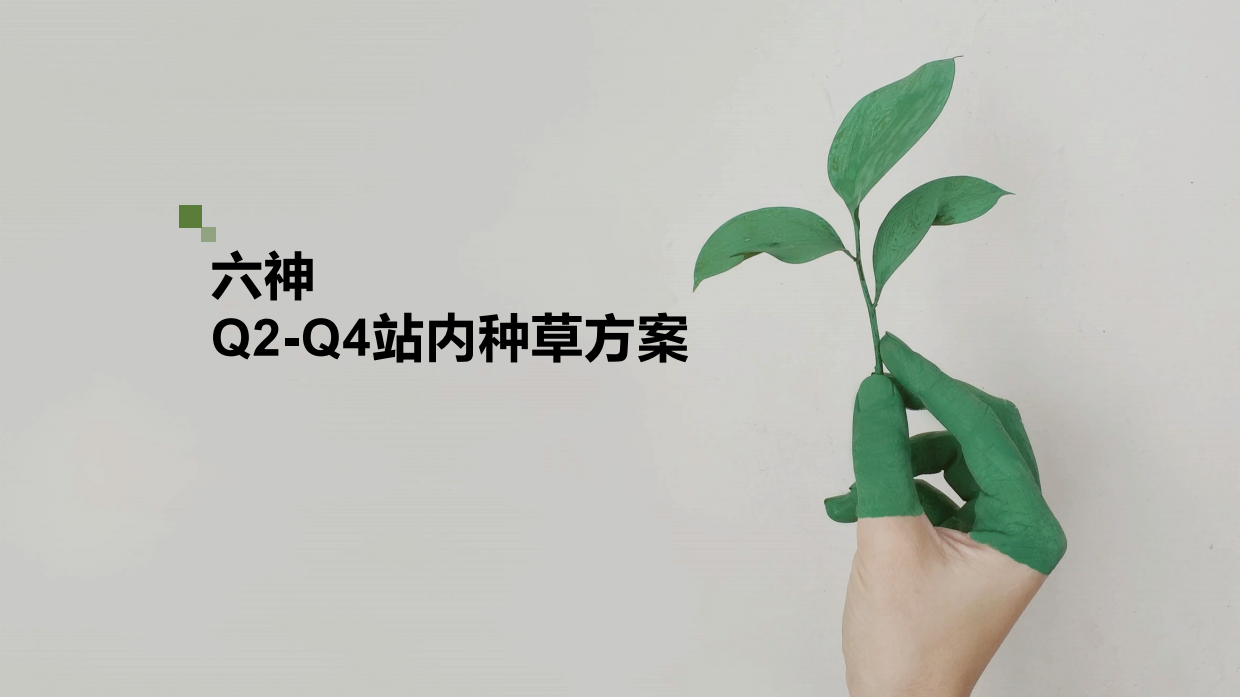 2022六神花露水Q2-Q4站内种草方案.pdf_第1页