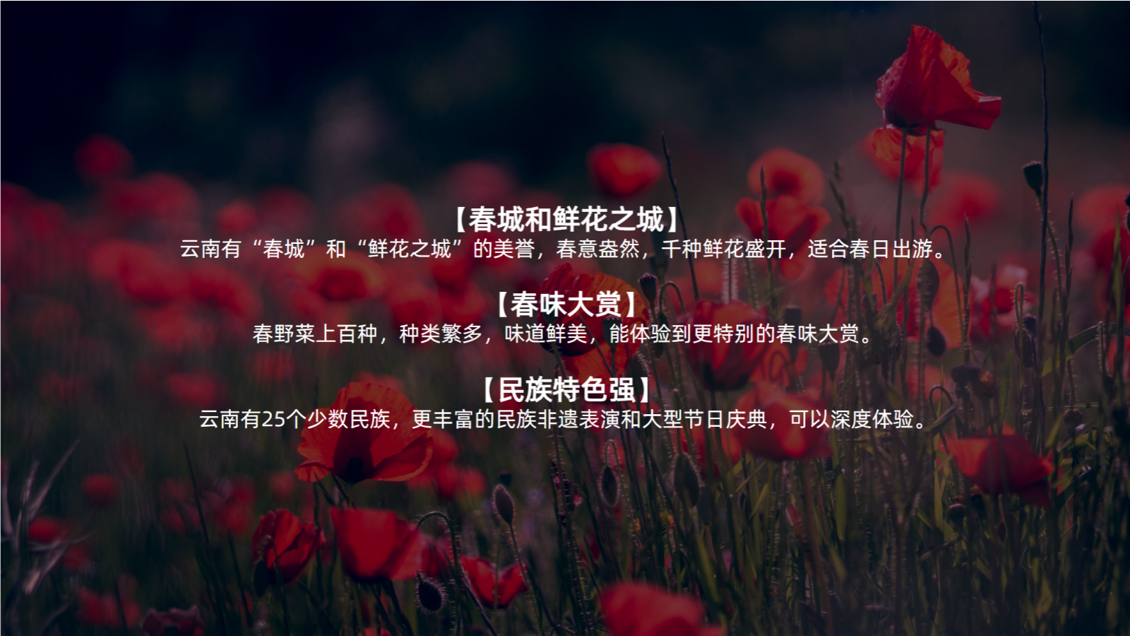 快手户外骑行记招商方案.pptx_第2页