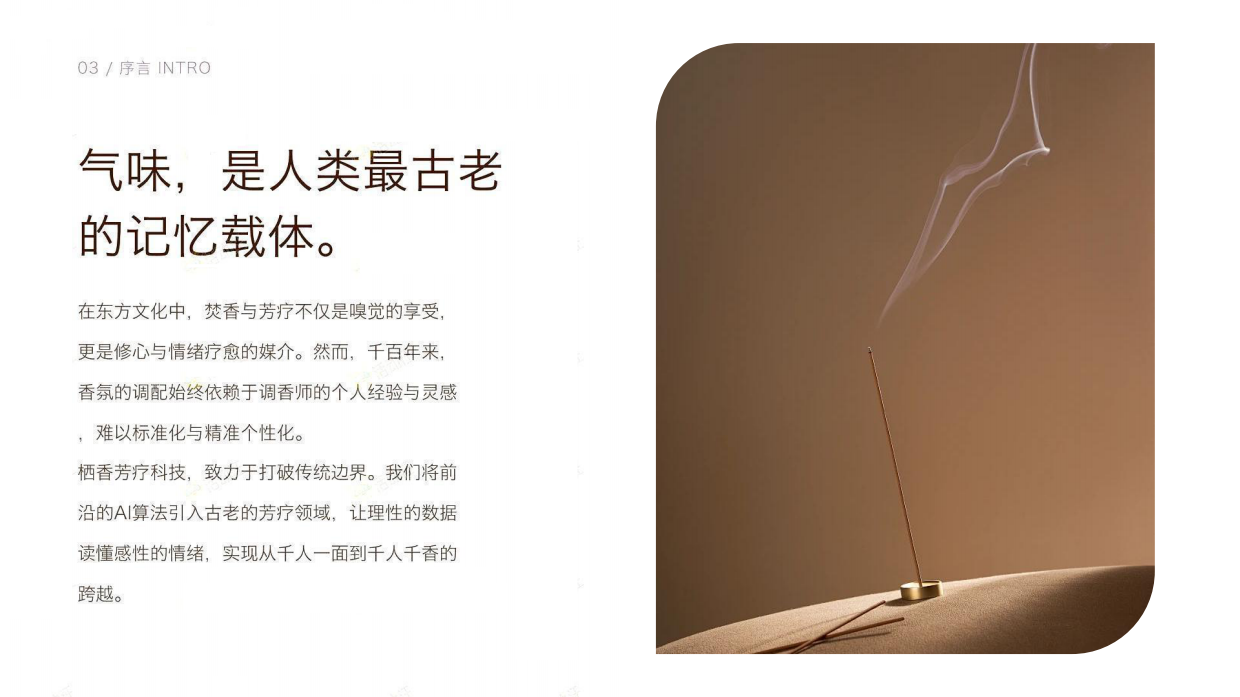 AI智能研发香氛配方方案.pdf_第3页