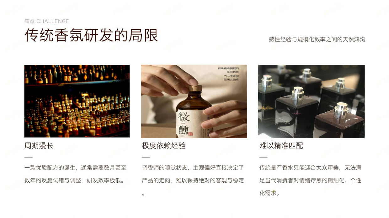 AI智能研发香氛配方方案.pdf_第4页