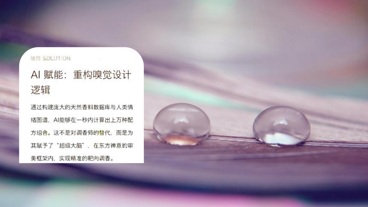 AI智能研发香氛配方方案.pdf_第5页