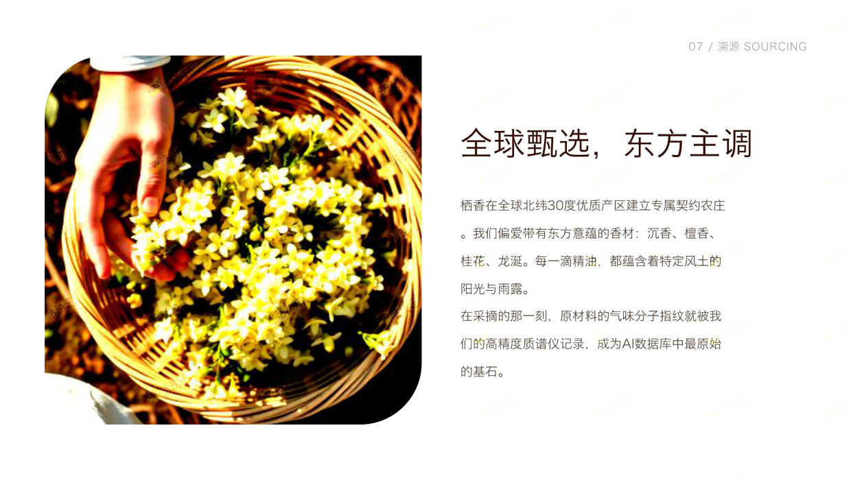AI智能研发香氛配方方案.pdf_第7页