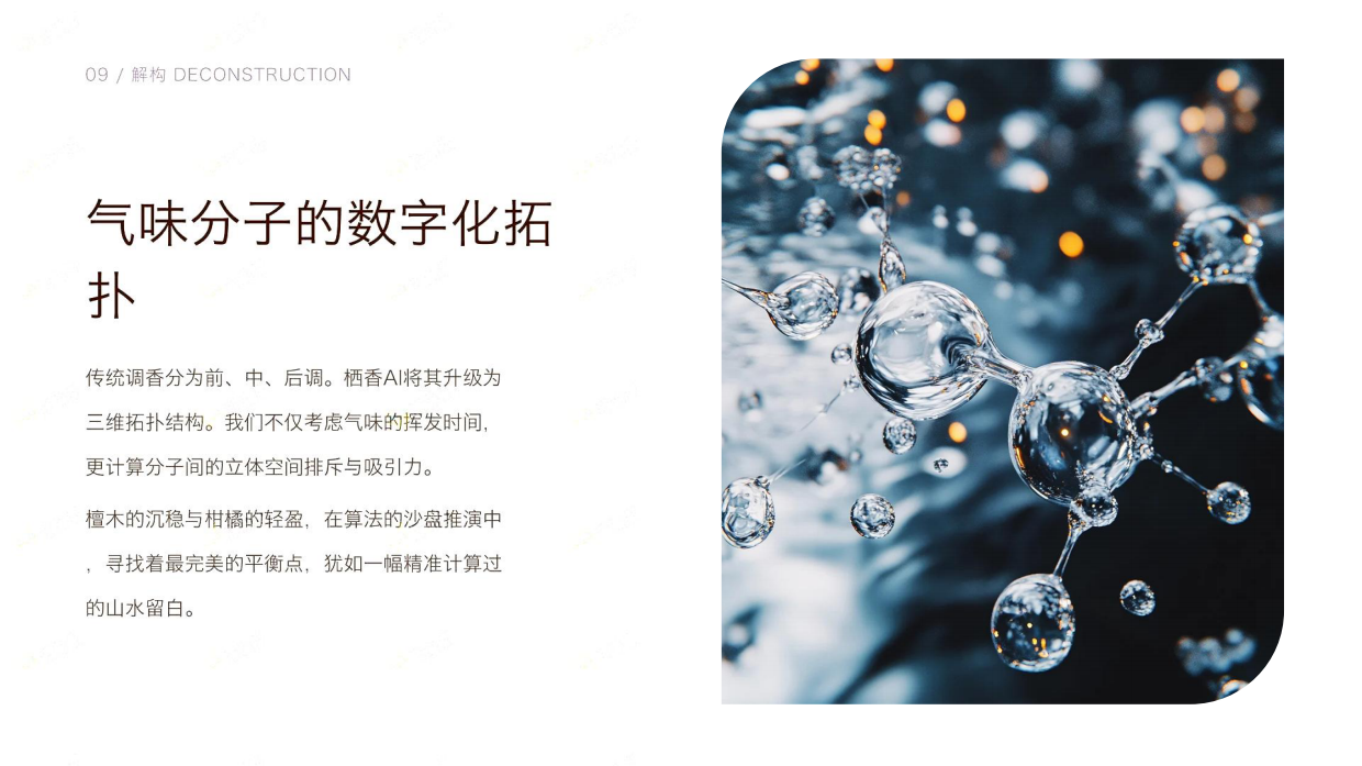 AI智能研发香氛配方方案.pdf_第9页