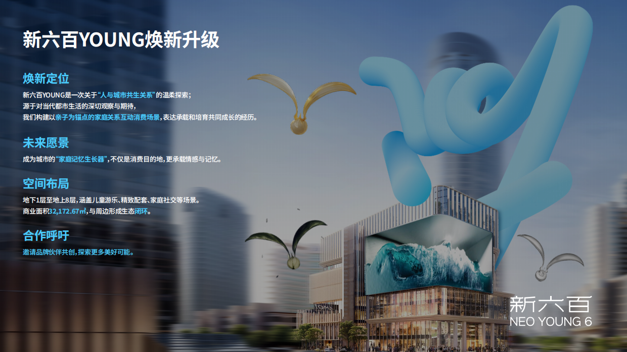 新六百YOUNG招商手册.pdf_第2页
