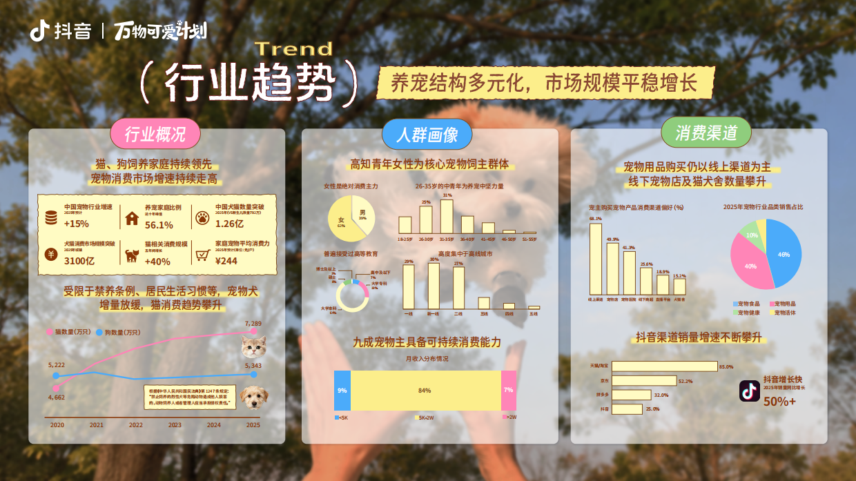 2026万物可爱计划人宠美好生活季招商方案.pdf_第4页