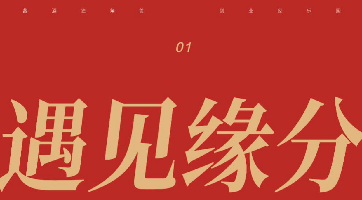 2025肆拾玖坊酒业品牌简介.pdf_第3页