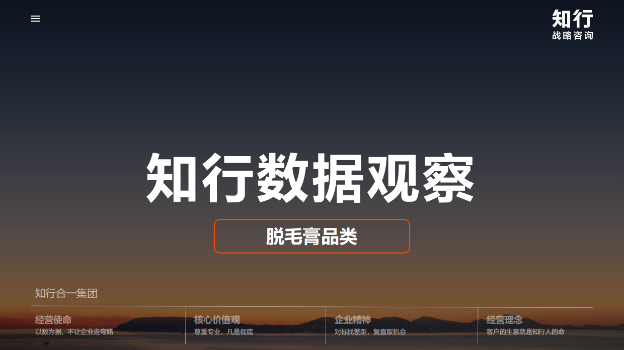 2026脱毛膏品类报告-知行战略.pdf_第2页
