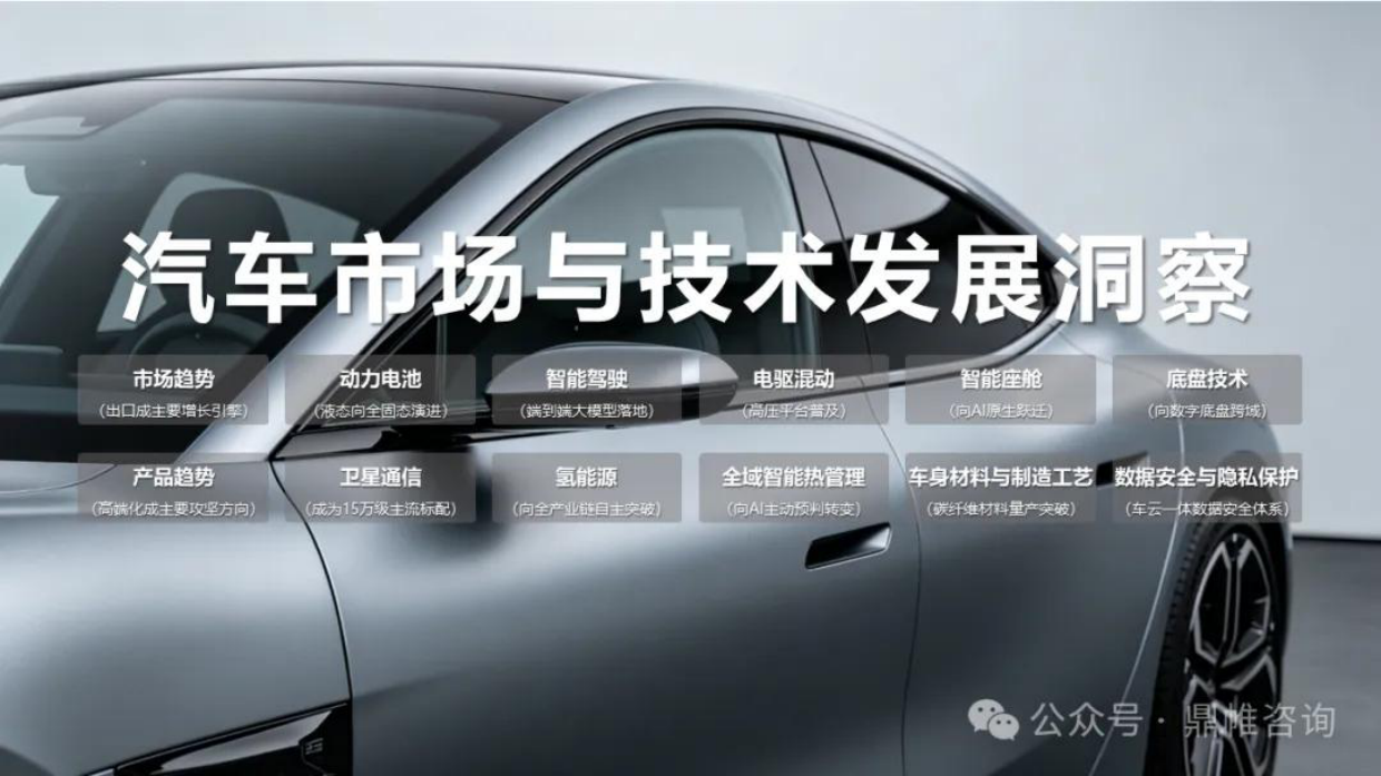 2026中国汽车新崛起企业发展战略研究报告-鼎帷咨询.pdf_第8页