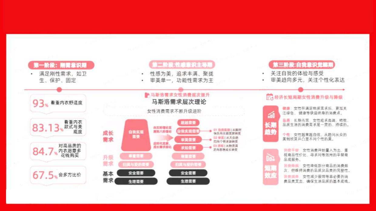 2024内衣品牌抖音营销策略.pdf_第4页